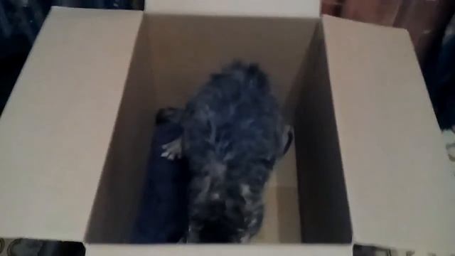 Сушильная комната после мойки. Обиды!!!|Drying room after washing. Insults !!! смотреть онлайн