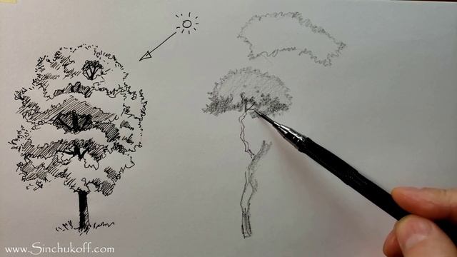 как нарисовать дерево поэтапно как нарисовать дерево смотреть онлайн