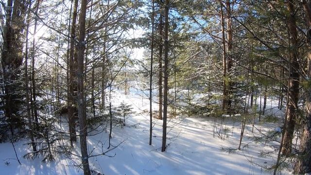 Видеосъёмка на GoPro 7 Black в мороз