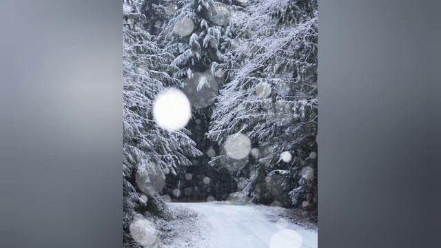 [Piano playlist] Roaming through Winter Wonderland❄️ смотреть онлайн