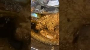 Хлорное Железо и его Последствия