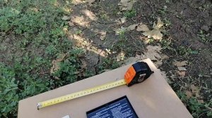 Виноград Императрица(Калугин В. М.) и рядом с ним находящиеся 2021год.