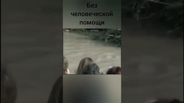 празднования Крещения Господнего в разных странах смотреть онлайн