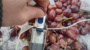 2 апреля 2023 г. виноград кримсон можно купить в Санкт-Петербурге