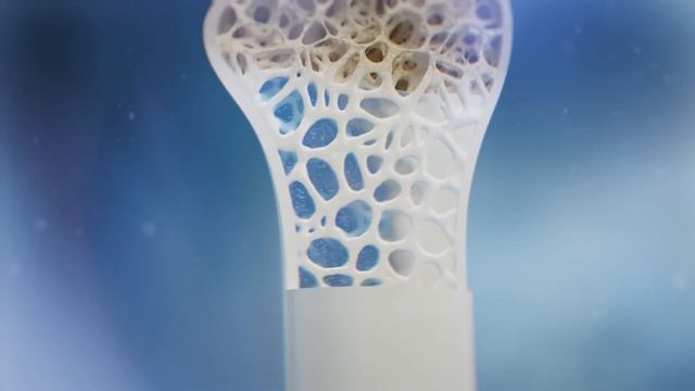 Кальцемин Адванс Draft смотреть онлайн