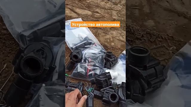 Система автополива #газон #автополив #благоустройство #hunter #rainbird #krain #поливучастка #diy смотреть онлайн