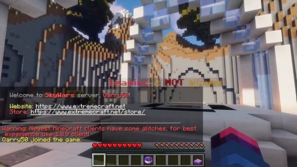 Top 5 Best Minecraft 1.17.1 Minigames Servers (2023)