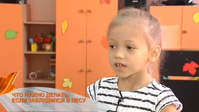 Разговорчики. Что нужно делать, если заблудился в лесу? смотреть онлайн