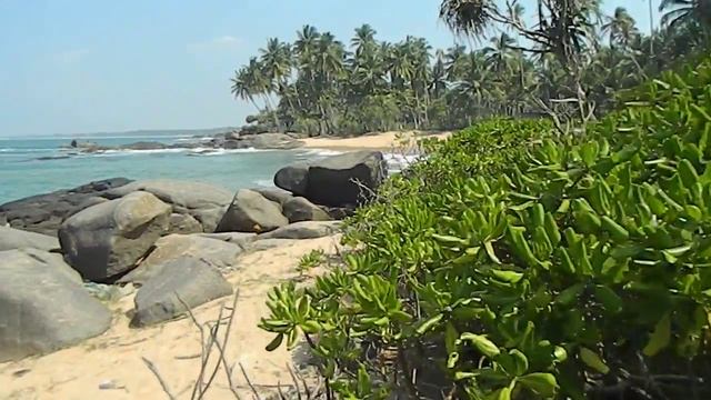 Шри Ланка пляж, Цейлон Бентота Косгода Индурува Галле Хиккадува Берувала смотреть онлайн