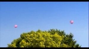 Букашки_ - зеплин.