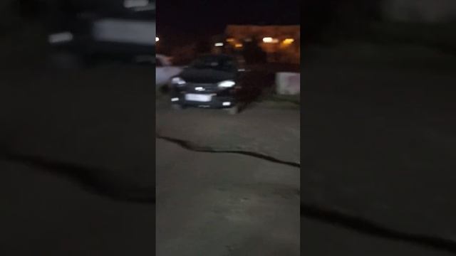 led лампы в задний ход Nissan Qashqai j10 смотреть онлайн
