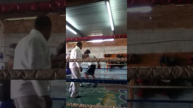 DAVID EL CHICANO GUSMAN смотреть онлайн