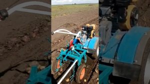 Картофелекопалка ккм1 с мотоблоком нева