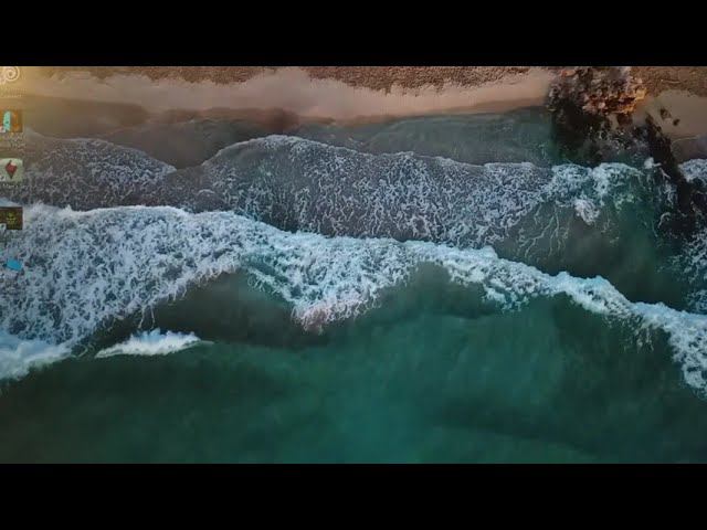 Все розы есть! Хватит! Тем не менее... смотреть онлайн