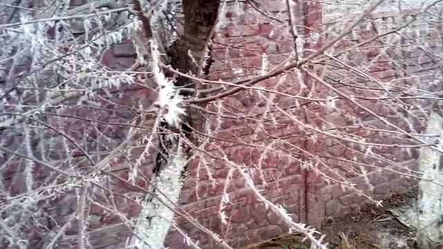 Какой должен быть иней смотреть онлайн