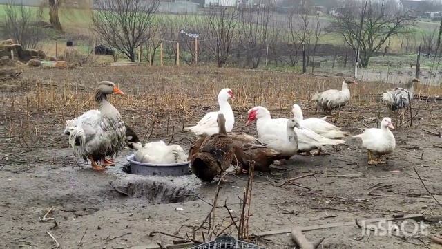 СтройНавигатор