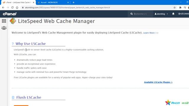 Comment activer le plugin WordPress LiteSpeed Cache sur Cpanel ? смотреть онлайн