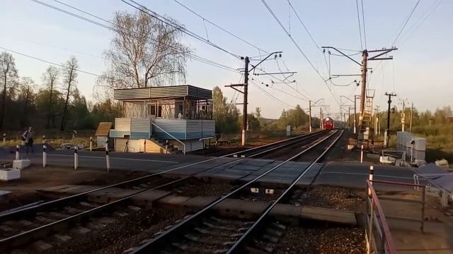 Электропоезд ЭД4М-0403 РЭКС платформа Зосимова Пустынь 8.05.2016 смотреть онлайн