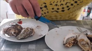 КАК ГОТОВИТЬ УСТРИЦЫ ОЙСТЕРС