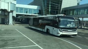 ПОБЕДА✈️ЧЕБОКСАРЫ?УЛЕТЕЛА?за Вещами ДОМОЙ??♀️