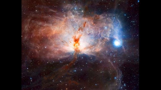Neo Dodovic - NGC 2024