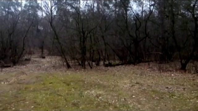 Ранней весной смотреть онлайн