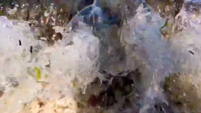 Пляж Нунгви Nungwi beach 2020 December декабрь Занзибар Танзания смотреть онлайн