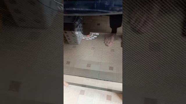 Пироги с запоминающимся вкусом