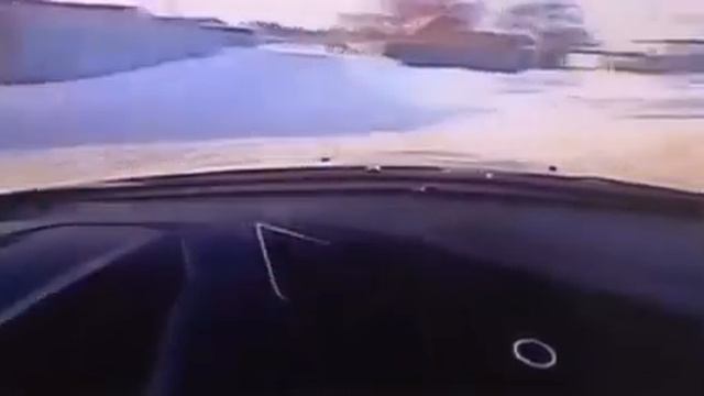 Вот что значит настоящий, верный друг. смотреть онлайн