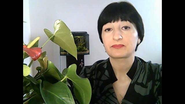 Реакция Манту. Вираж пробы Манту.