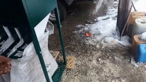 Зерновой сепаратор, Едем в фермерское хозяйство, очистка зерна и семечки