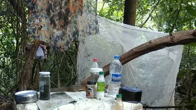 Индия Джунгли # ГОА Бурундуки белки пришли навестить нового жыльца # ЗАЧЕМ НУЖНА ПОДПИСКА НА КАНАЛ смотреть онлайн