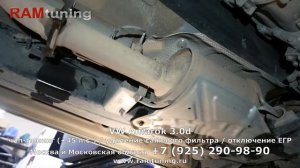 Volkswagen Amarok 3.0d 224 л.с. AT 2018: удаление сажевого фильтра, увеличение мощности +45 л.с.