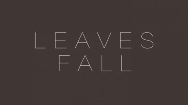 L E A V E S│F A L L
