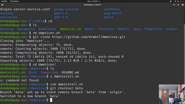 A Lazy Stream of Scripting and Ricing смотреть онлайн