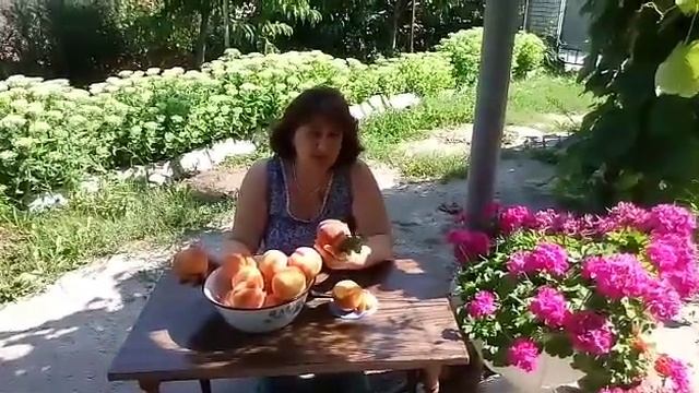 Бомбезный персик Вайн Голд Т—3. смотреть онлайн