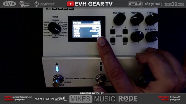 BOSS DD-500 Roland SDE-3000 Eddie Van Halen Stereo Delay