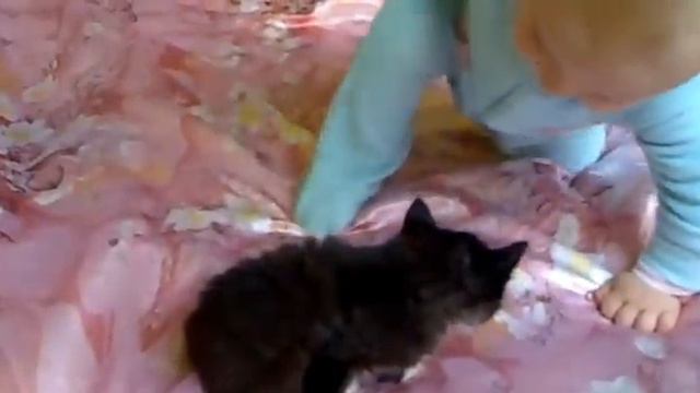 Отдам котенка В ДОБРЫЕ РУКИ))) смотреть онлайн