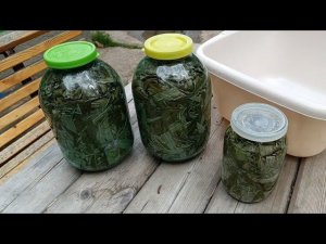 Суп из гороховой каши с мясом. / Ферментация листьев иван-чая (копорский чай)☕.