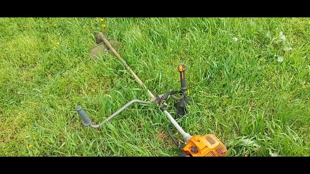 Пробую зарабатывать в сельской местности.