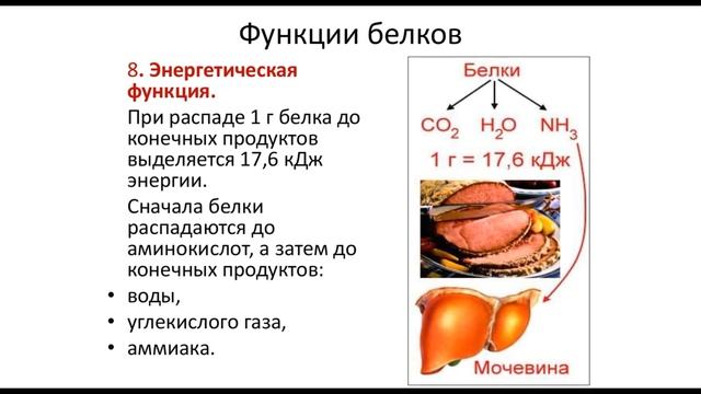 Биология.№ Урок 8 Классификация белков по составу и по функциям смотреть онлайн