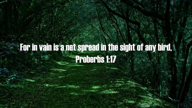 Meditation on the Book of Proverbs Chapter 1 смотреть онлайн