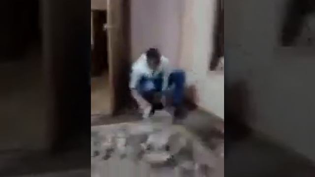 Неугомонный щенок Бигля Охотничья порода смотреть онлайн