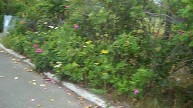 Июль 2023 год.