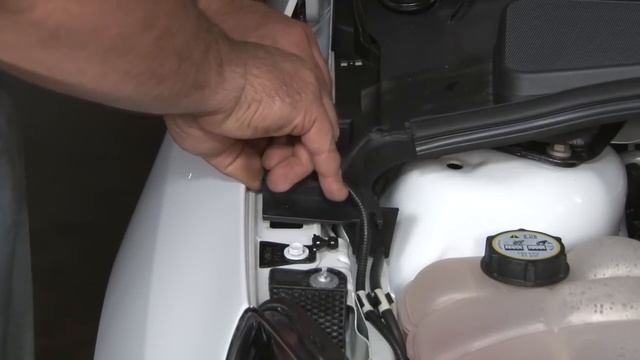 Focus ST Redline Tuning QuickLIFT Plus Hood Strut Kit 2013-2018 Installation смотреть онлайн