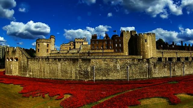 tower of london facts (10 point) смотреть онлайн