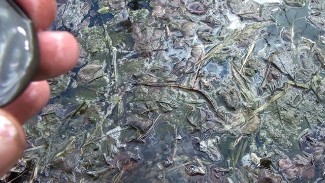 КОП МОНЕТ И СТАРИНЫ НА УРОЧИЩЕ. ПОИСК КЛАДА С МЕТАЛЛОИСКАТЕЛЕМ. НАХОДКИ СТАРИНЫ. XP DEUS 2. смотреть онлайн