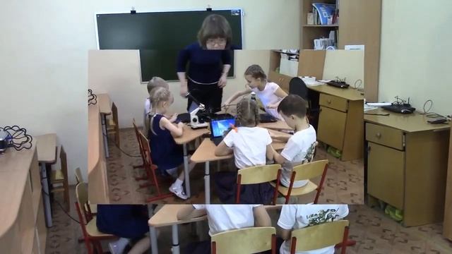 Использование цифрового микроскопа в работе с дошкольниками смотреть онлайн