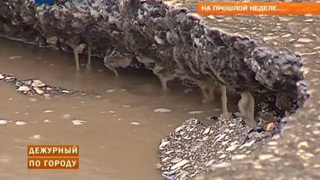 Дежурный по городу 27.03.2014 смотреть онлайн