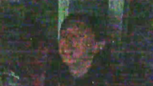 Поздравление Адэпта